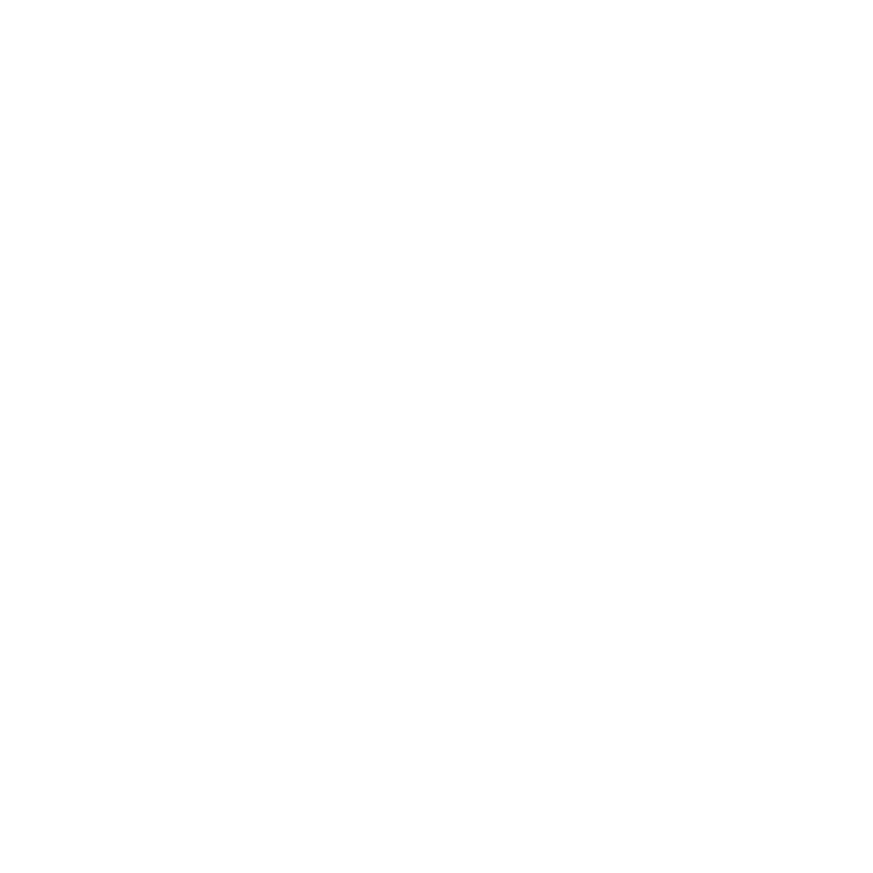 Ki Aikido Schule